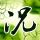 溏心风暴